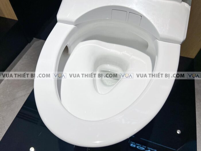 anh thuc te bon cau 1 khoi toto ms889cdrw12 nap rua dien tu tcf4911ez 8