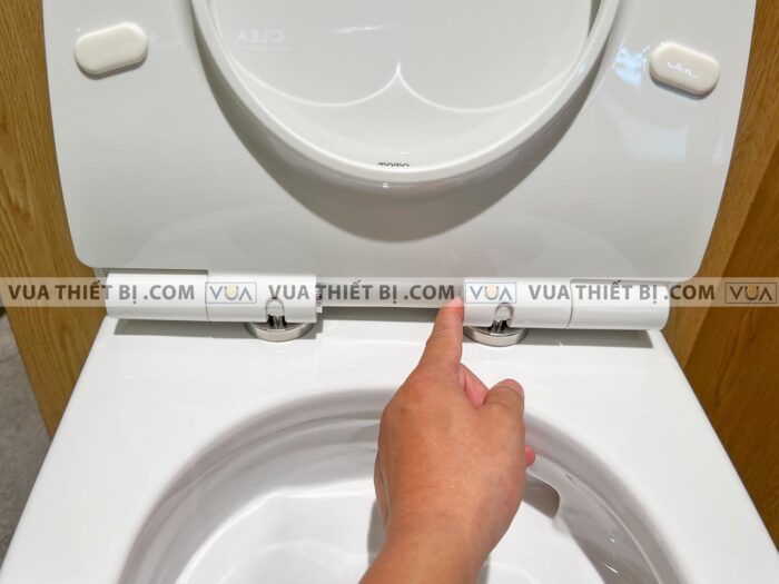 anh thuc te bon cau 1 khoi toto ms889dt8 ms889drt8 nap em tc600vs 8