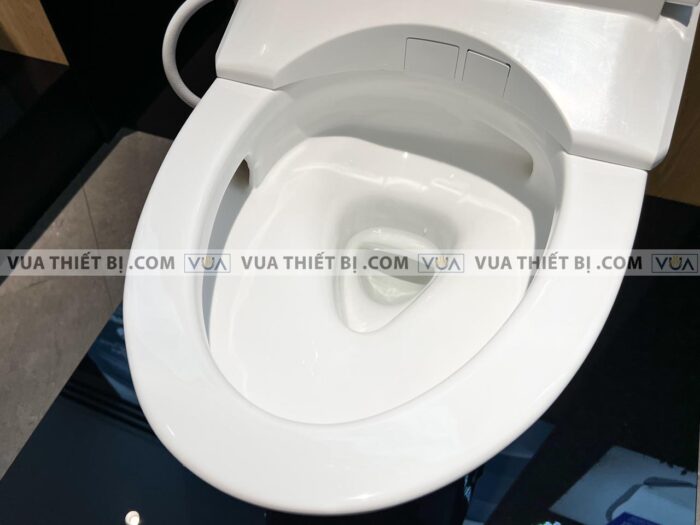 anh thuc te bon cau 1 khoi toto ms889dw11 ms889drw11 nap rua dien tu tcf4911z 11