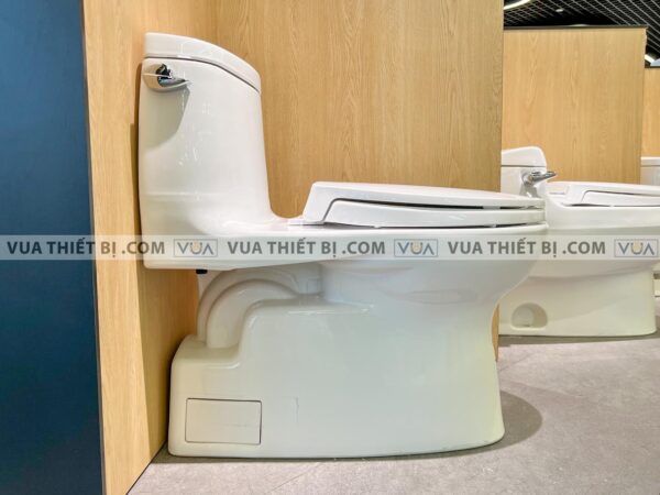 anh thuc te bon cau 1 khoi toto ms905t2 nap em tc393vs 1