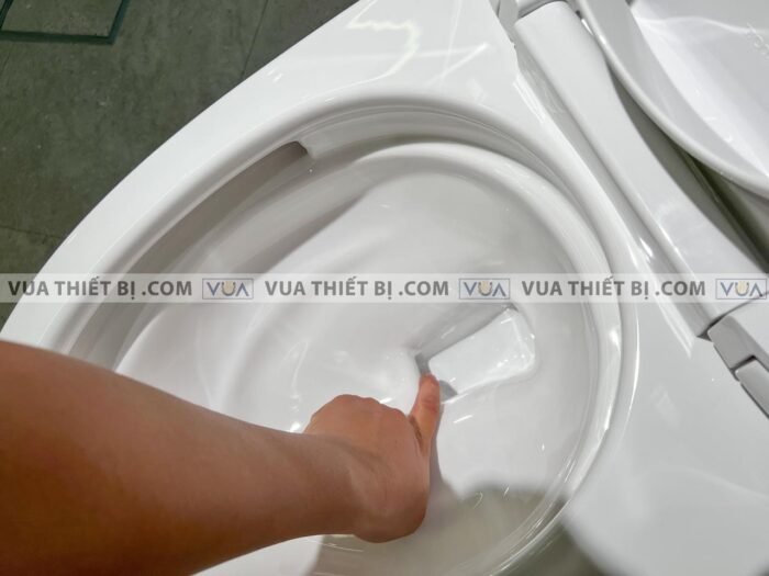 anh thuc te bon cau 1 khoi toto ms905t2 nap em tc393vs 8