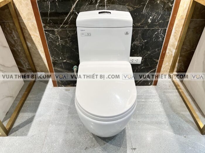 anh thuc te bon cau 1 khoi viglacera v199 1