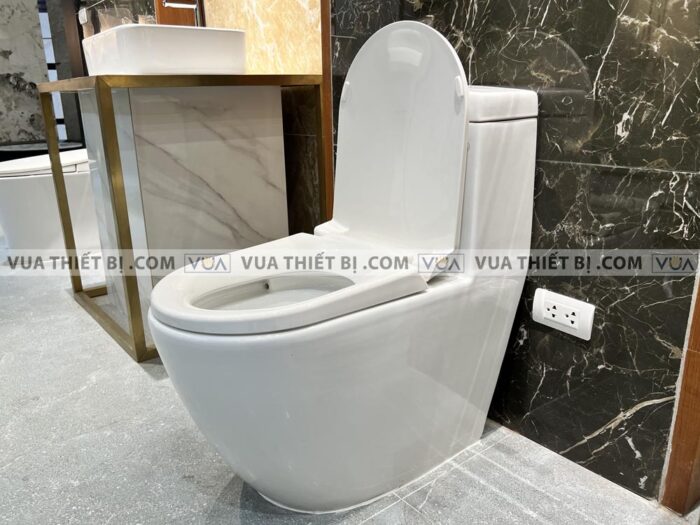 anh thuc te bon cau 1 khoi viglacera v199 7