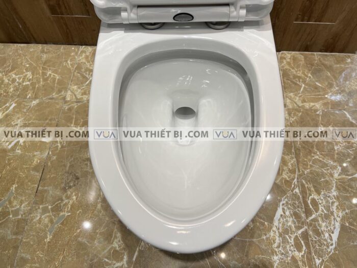 anh thuc te bon cau 1 khoi viglacera v63 1