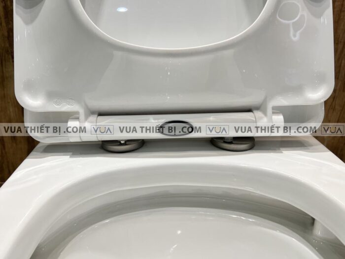 anh thuc te bon cau 1 khoi viglacera v63 2