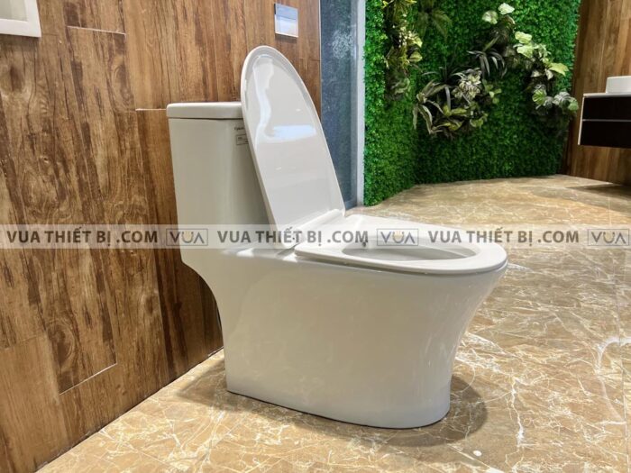 anh thuc te bon cau 1 khoi viglacera v63 4