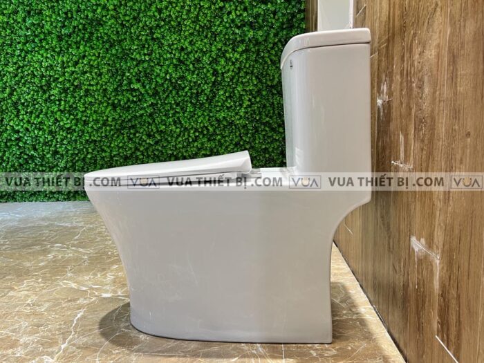 anh thuc te bon cau 1 khoi viglacera v63 8