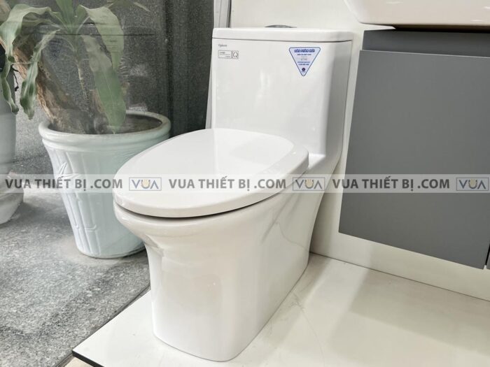 anh thuc te bon cau 1 khoi viglacera v700 3