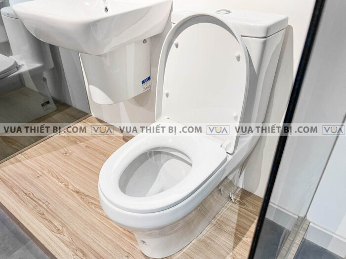 anh thuc te bon cau 2 khoi american standard 2309 wt 3