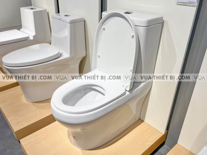 anh thuc te bon cau 2 khoi american standard 2309 wt 8