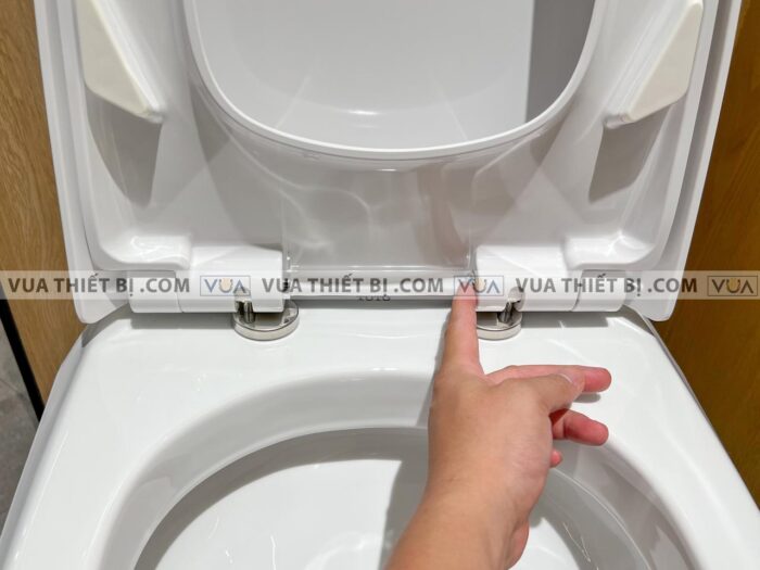 anh thuc te bon cau 2 khoi toto cs680dt4 nap em tc375cvk 10