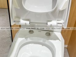 anh thuc te bon cau 2 khoi toto cs680dt4 nap em tc375cvk 11