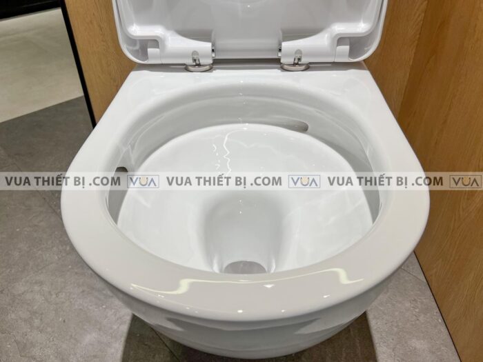 anh thuc te bon cau 2 khoi toto cs761dt5 nap em tc384cvk 5