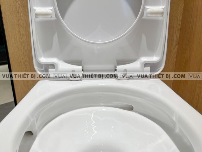 anh thuc te bon cau 2 khoi toto cs761dt5 nap em tc384cvk 6