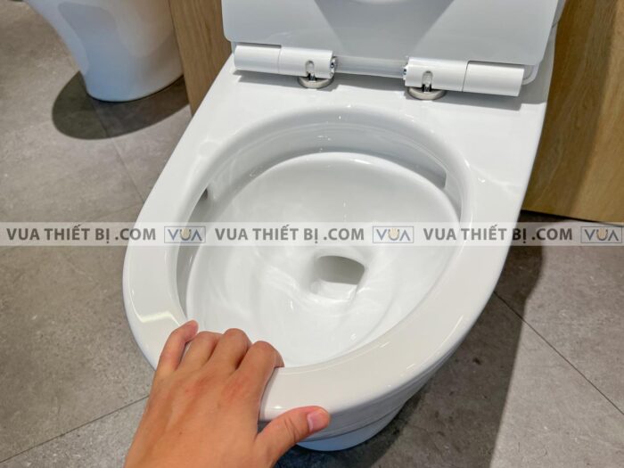 anh thuc te bon cau 2 khoi toto cs767rt8 nap em tc600vs 7