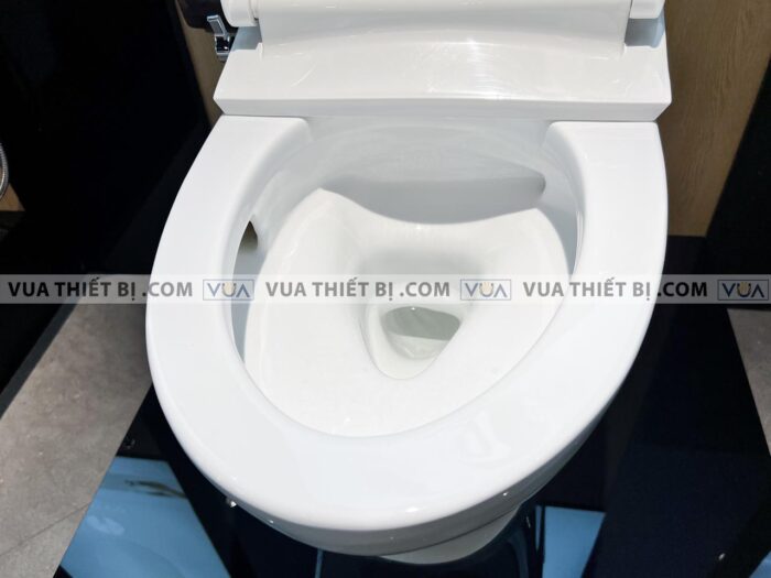 anh thuc te bon cau 2 khoi toto cs769de4 cs769dre4 nap rua co tcw1211a 11