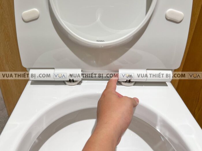 anh thuc te bon cau 2 khoi toto cs818dt8 nap em tc600vs 7