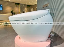 anh thuc te bon cau dien tu toto cs901kvt t53p100vr neorest nx ii 1