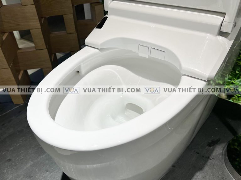 anh thuc te bon cau dien tu toto cs988vt tcf9575z t53p100vr neorest dh 10