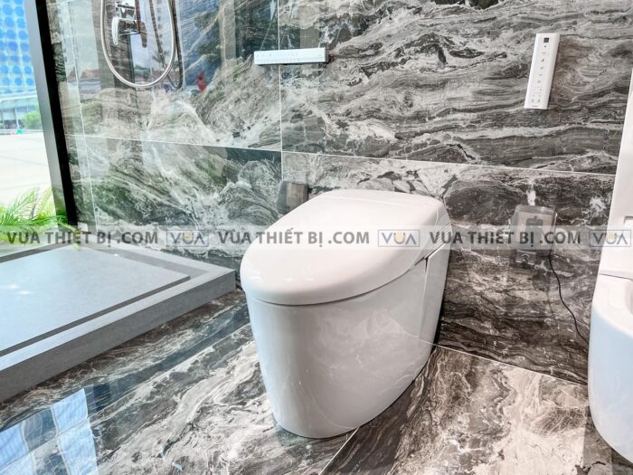 anh thuc te bon cau dien tu toto cs989vt tcf9768wz t53p100vr neorest rh 1