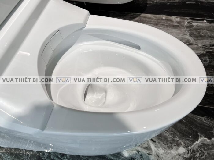 anh thuc te bon cau dien tu toto cs989vt tcf9768wz t53p100vr neorest rh 9