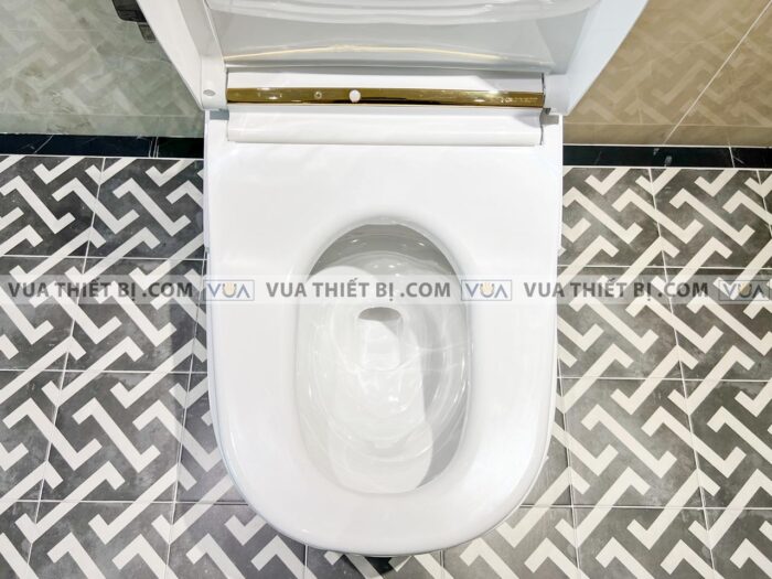 anh thuc te bon cau dien tu toto cw993vanw1 tcf993wa t53p100vr neorest xh ii 8