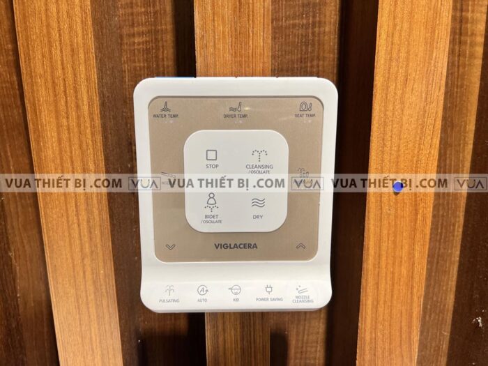 anh thuc te bon cau dien tu viglacera v91 1