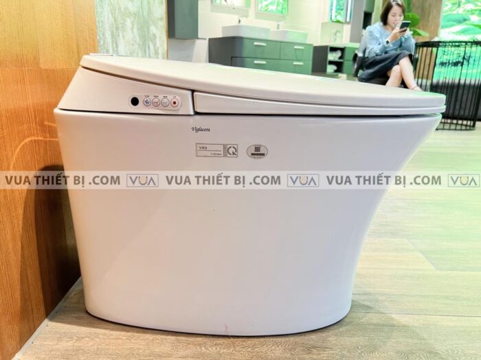 anh thuc te bon cau dien tu viglacera v93 2