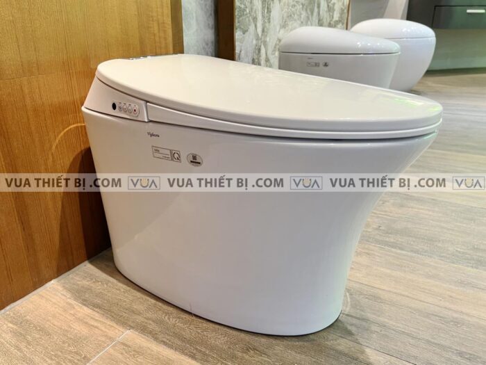 anh thuc te bon cau dien tu viglacera v93 3