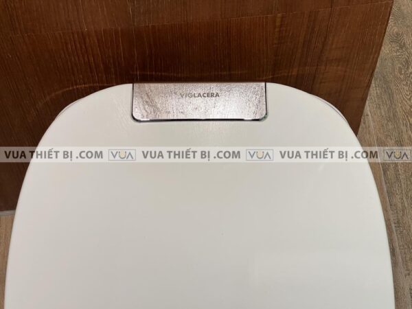 anh thuc te bon cau dien tu viglacera v93 6