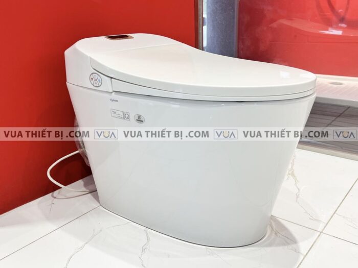 anh thuc te bon cau dien tu viglacera v94 1