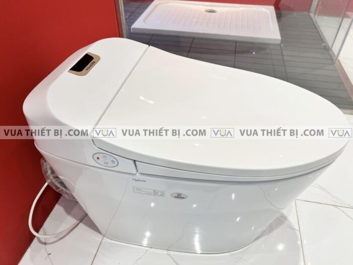 anh thuc te bon cau dien tu viglacera v94 4