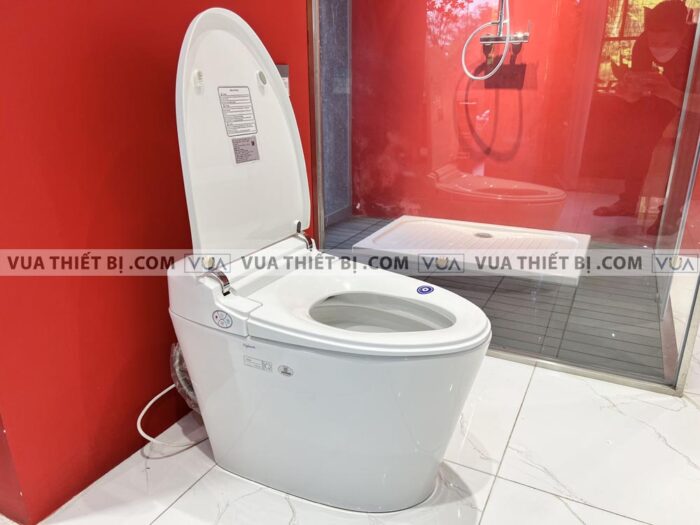 anh thuc te bon cau dien tu viglacera v94 5