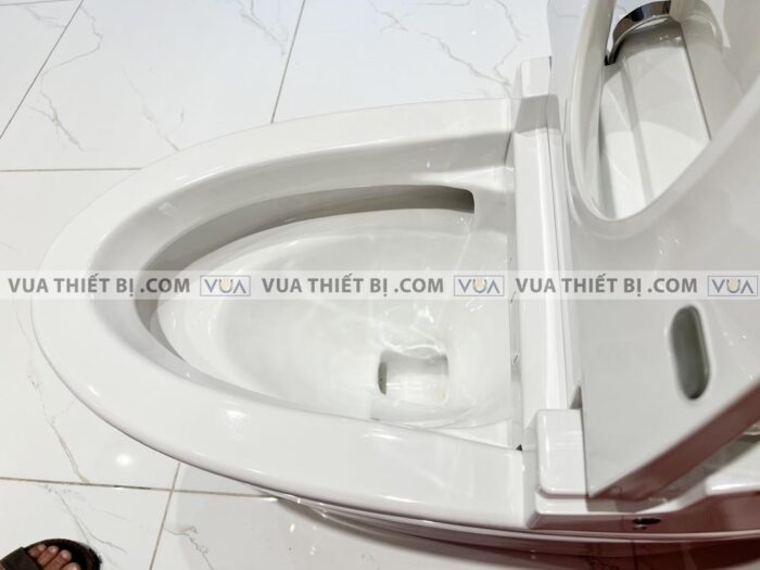 anh thuc te bon cau dien tu viglacera v94 7