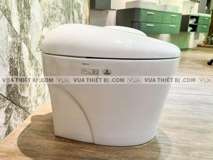 anh thuc te bon cau dien tu viglacera v95 1