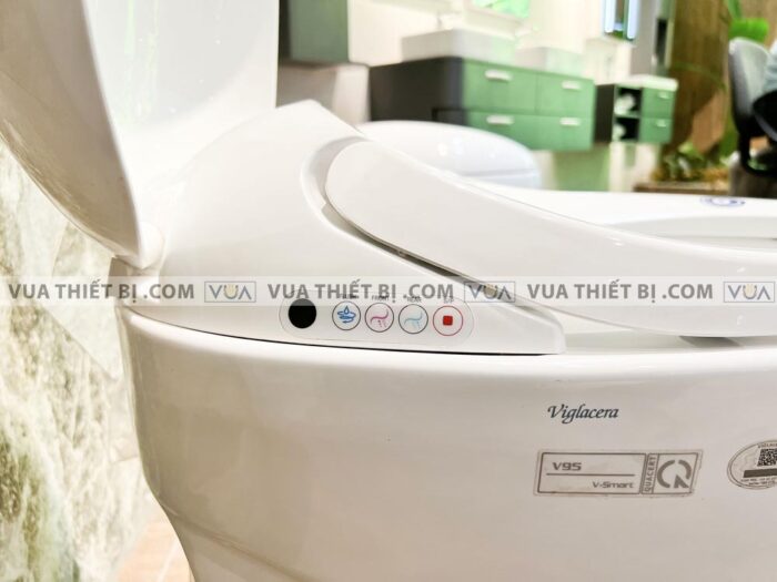 anh thuc te bon cau dien tu viglacera v95 10