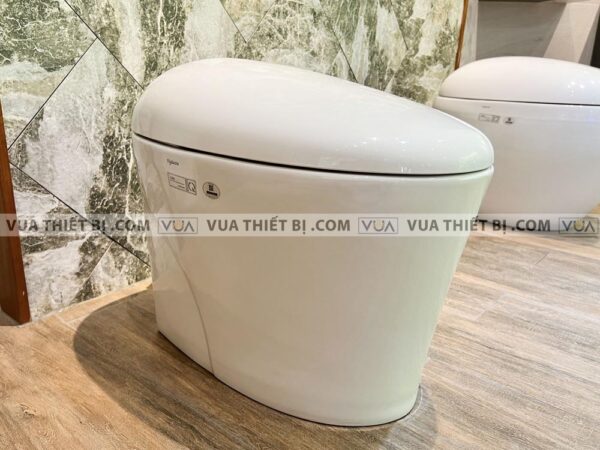 anh thuc te bon cau dien tu viglacera v95 2