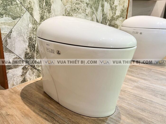 anh thuc te bon cau dien tu viglacera v95 2