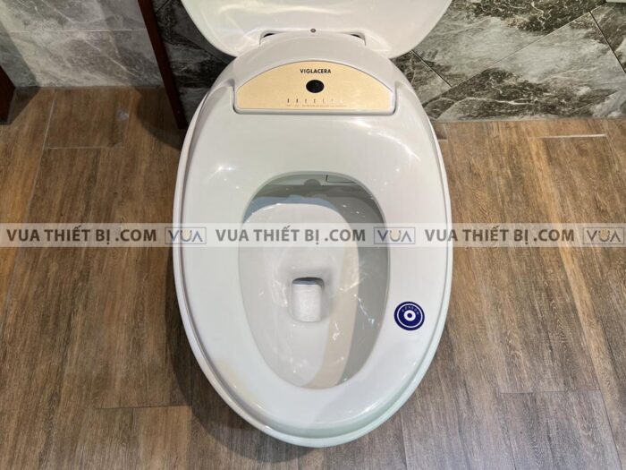 anh thuc te bon cau dien tu viglacera v95 3