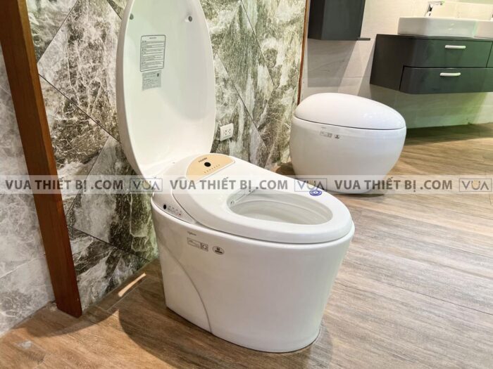 anh thuc te bon cau dien tu viglacera v95 4