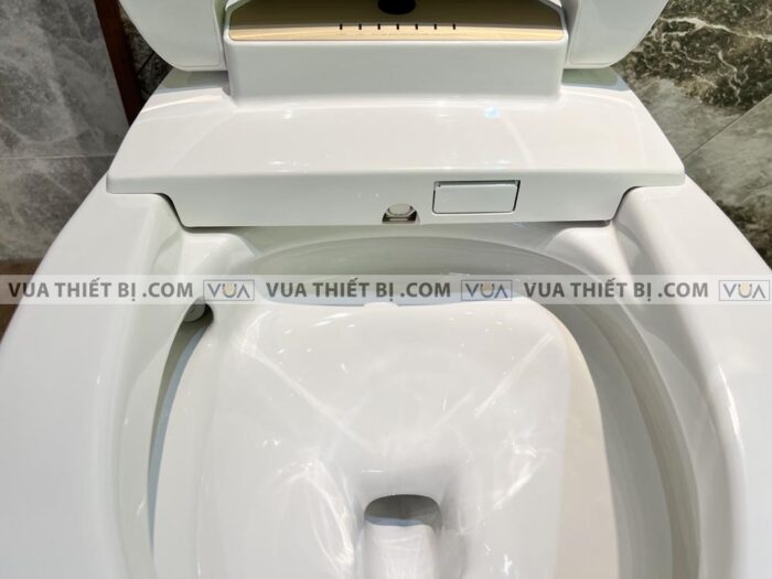 anh thuc te bon cau dien tu viglacera v95 6