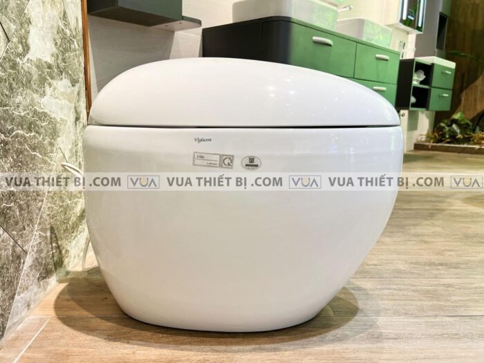 anh thuc te bon cau dien tu viglacera v96 1