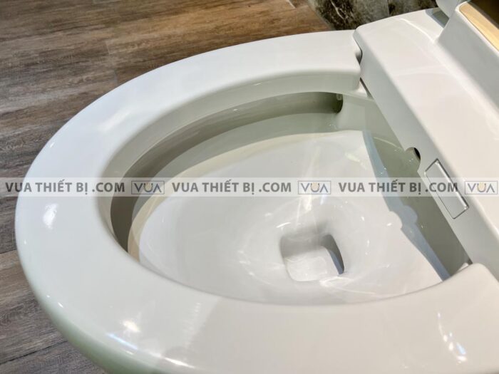 anh thuc te bon cau dien tu viglacera v96 10