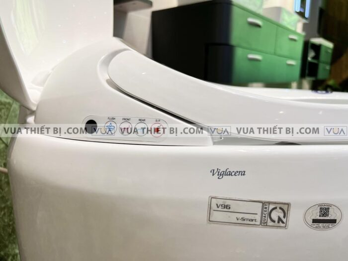 anh thuc te bon cau dien tu viglacera v96 4