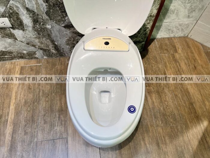 anh thuc te bon cau dien tu viglacera v96 5