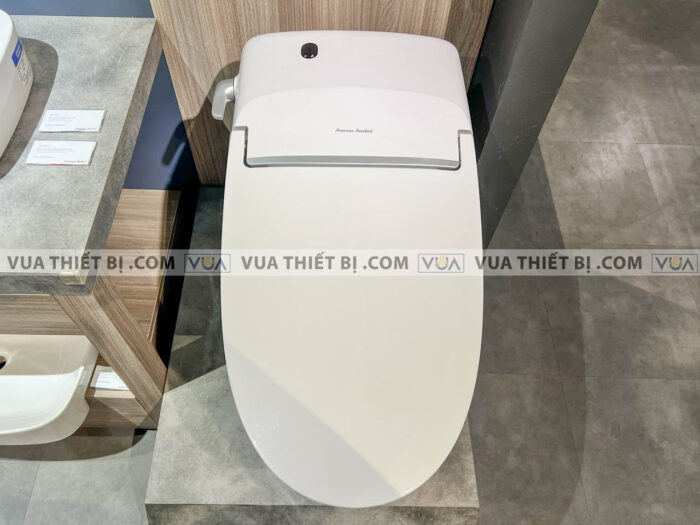 anh thuc te bon cau thong minh american standard wp 5017 4