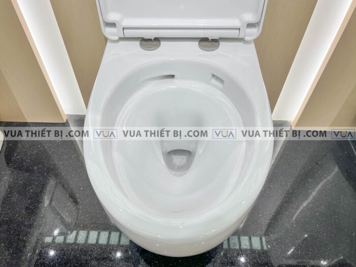 anh thuc te bon cau treo tuong inax ac 952vn aqua ceramic nap em 9