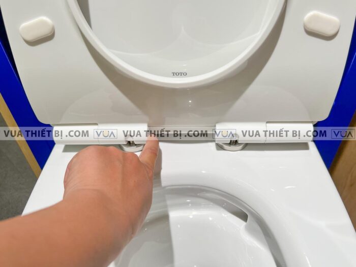 anh thuc te bon cau treo tuong toto cw822raw tc600vsw wh172a mb170pss nap em 9