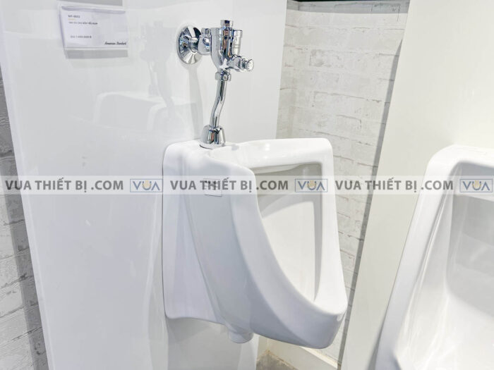 anh thuc te bon tieu nam american standard vf 0412 wf 9802 2