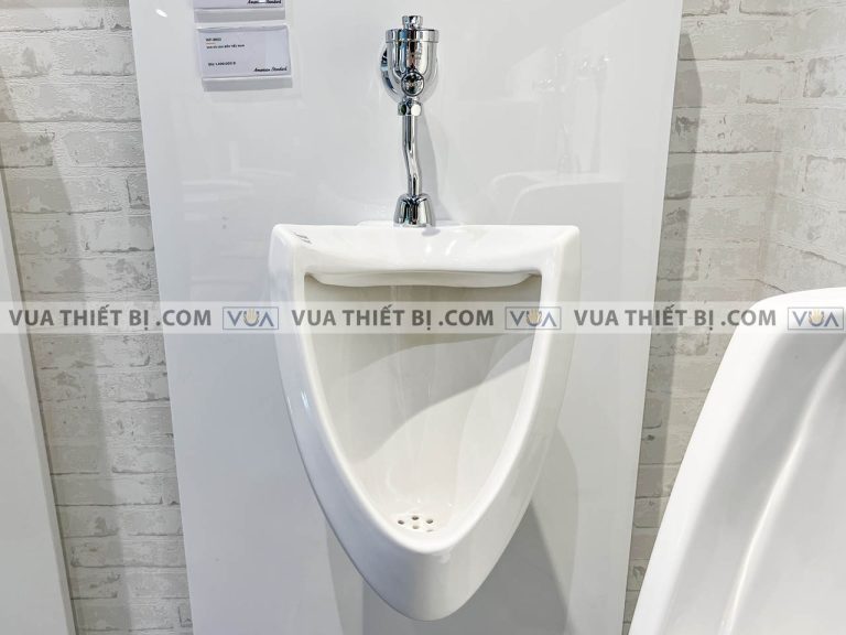 anh thuc te bon tieu nam american standard vf 0412 wf 9802 3